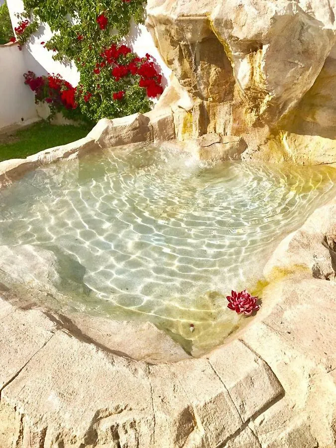 House In Marbella Villa